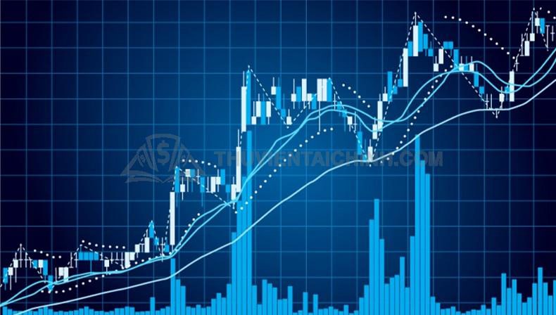 Tikiforex Tikiforex