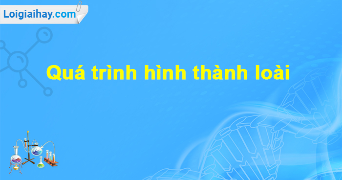 Quá trình có mặt loài Quá trình ra đời loài