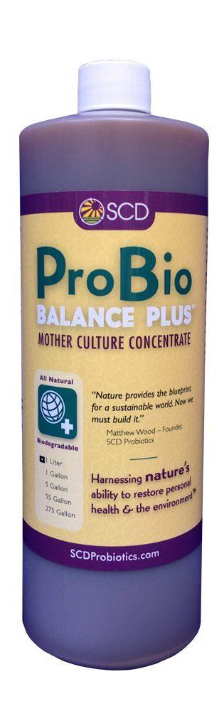 Vi sinh scd probio balance plus Vi sinh scd probio balance plus